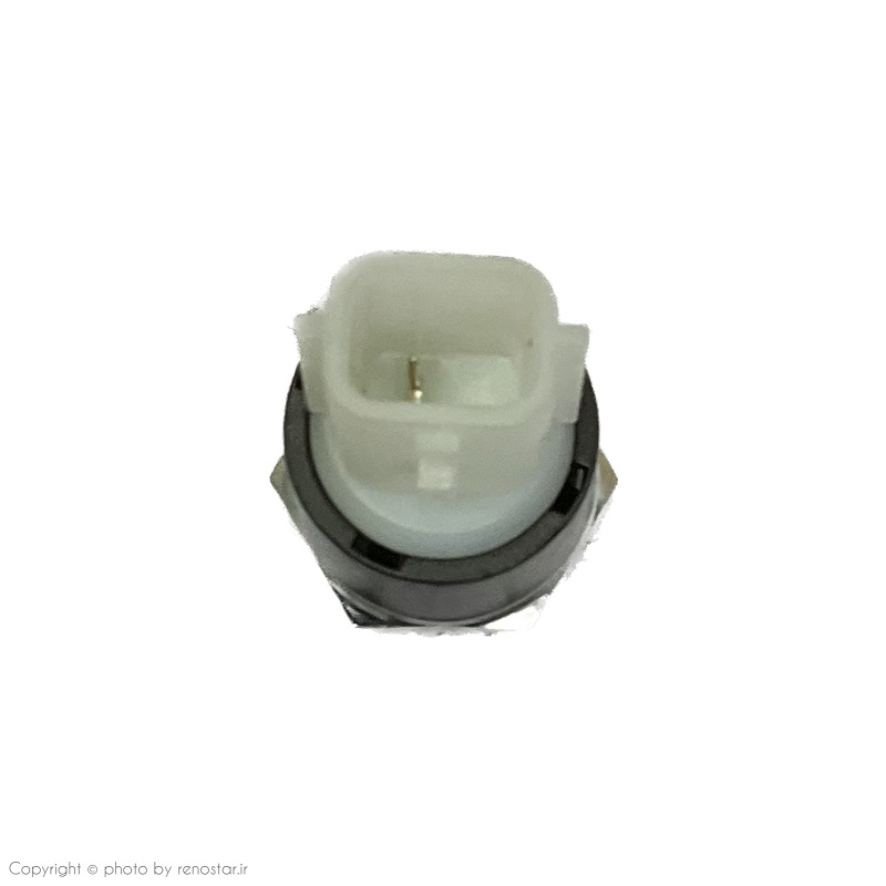 فشنگی روغن مگان اصلی 